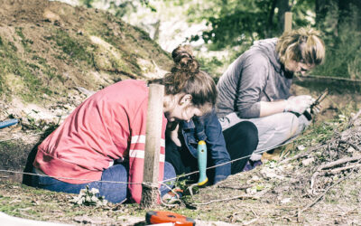 Ukyte Dziedzictwo – kampania edukacyjna